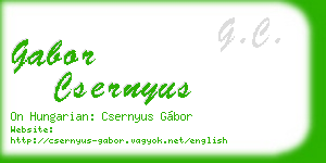 gabor csernyus business card